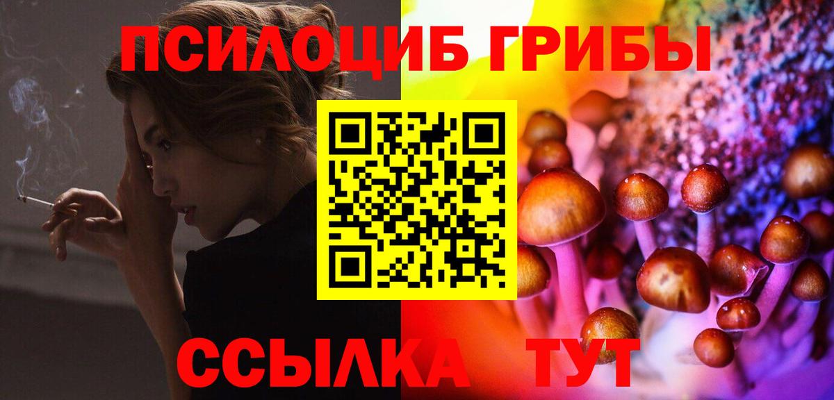 Торжок  Псилоцибиновые грибы ЛСД  Вход с VPN 